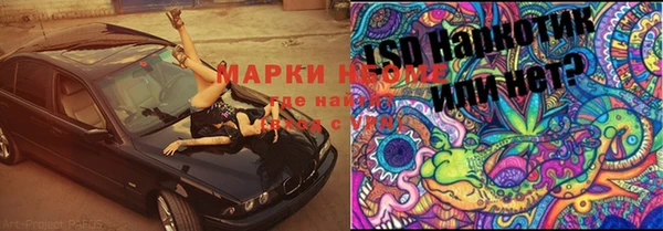 прущие крисы Балахна