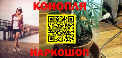 гидропоника Лесосибирск