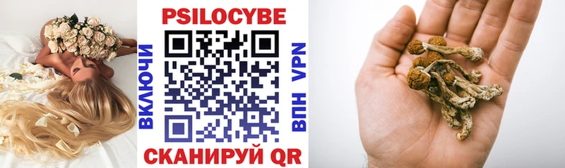 где купить наркотик Зима Псилоцибиновые грибы прущие грибы
